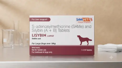 LISYBIN