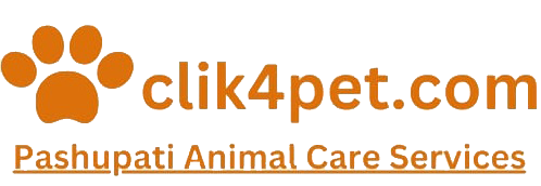 My Website
